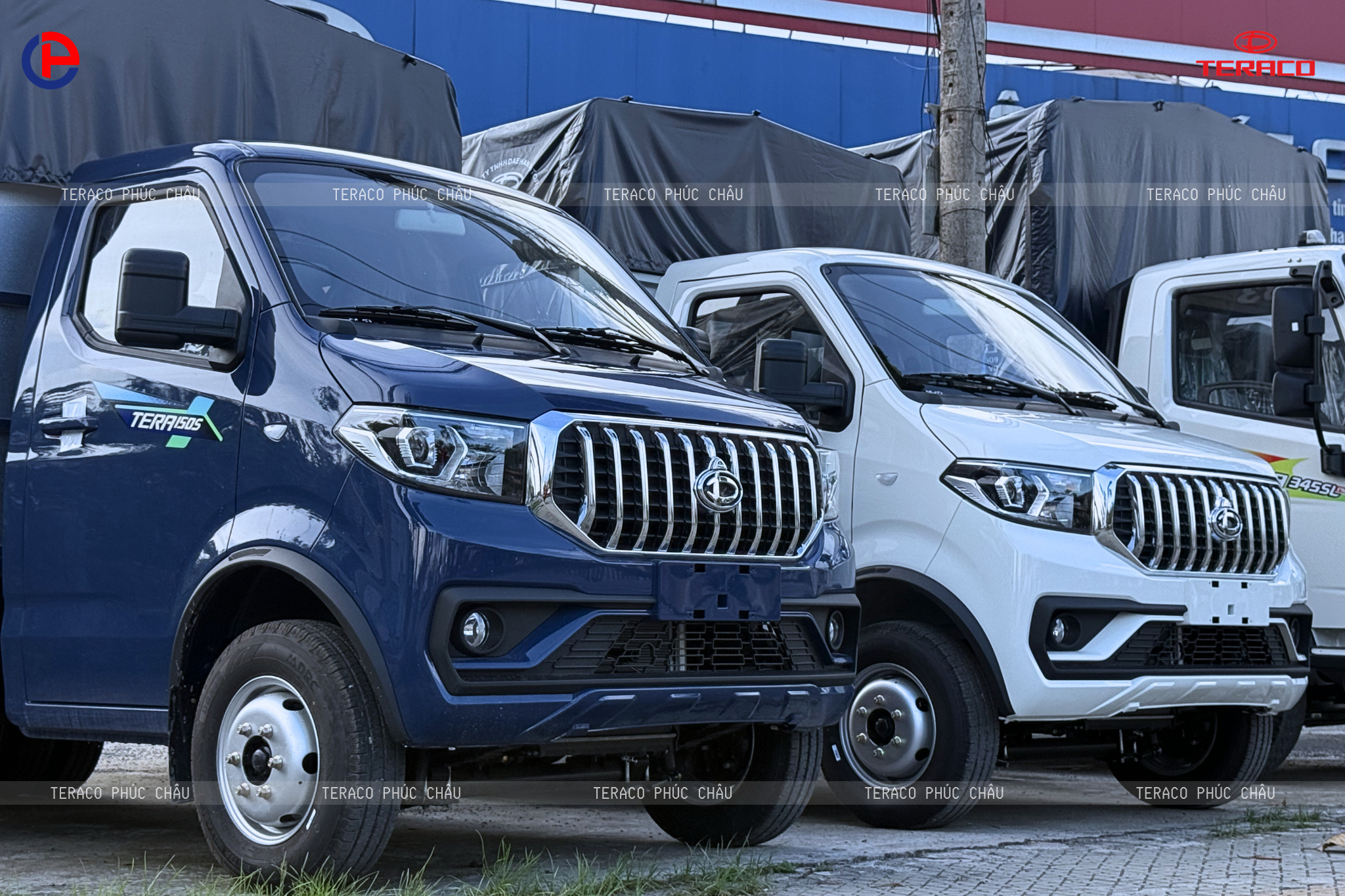 Tera 150S: Nên chọn thùng kín hay thùng mui bạt?